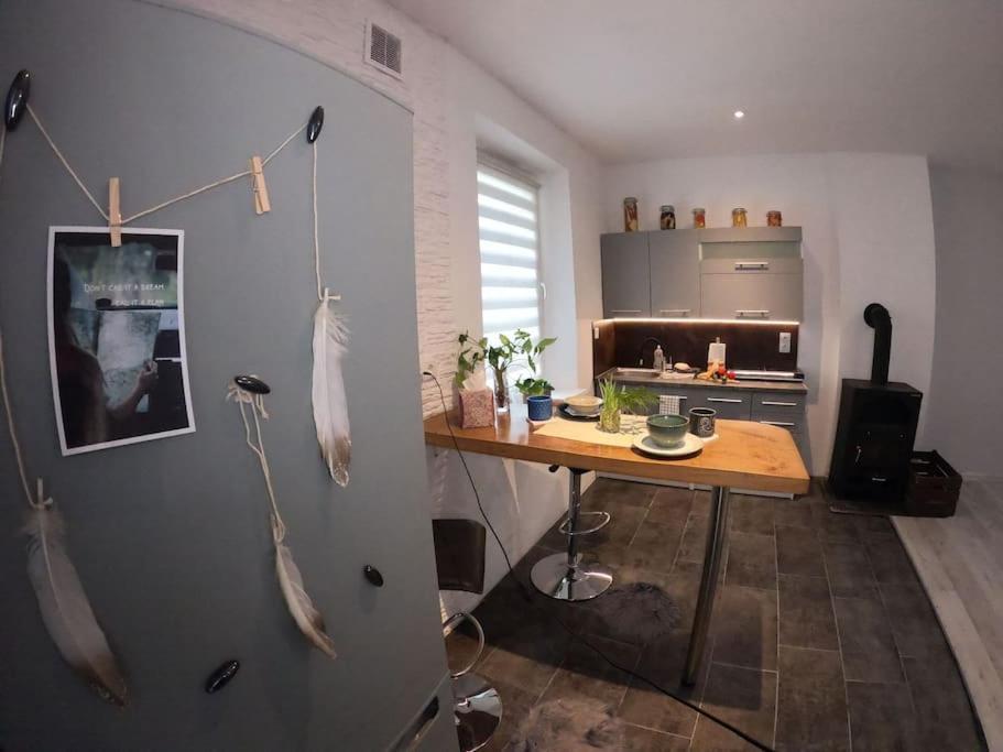 Urocze Studio W Sercu Cieplic Warmbrunn Buitenkant foto